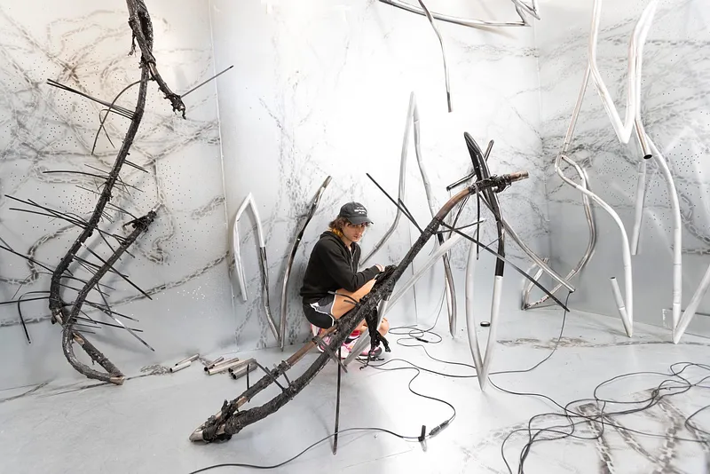 Paraíso Latin American Art Fair — Public Days