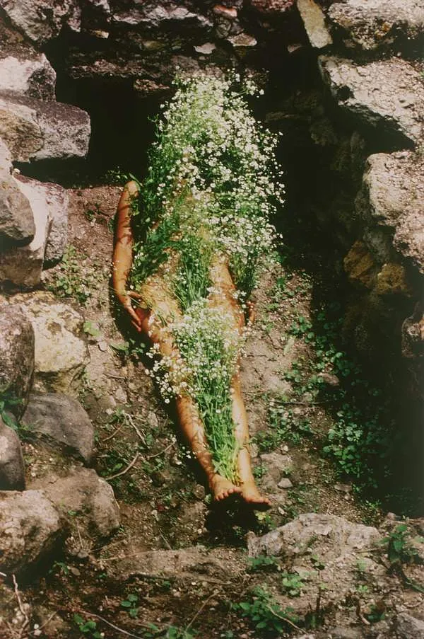 Ana Mendieta: Film Programme