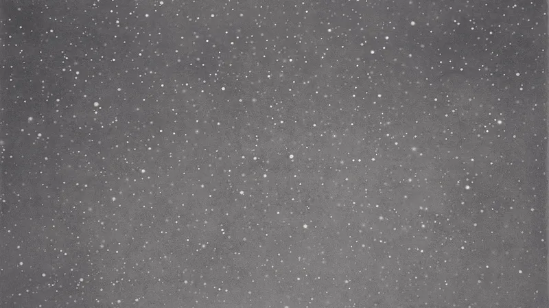 Contrepoint contemporain: Vija Celmins