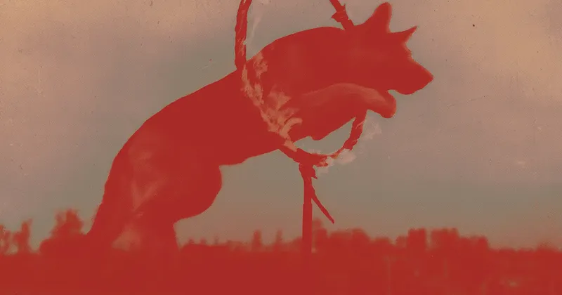 Annika Elisabeth von Hausswolff: A Song for Europe