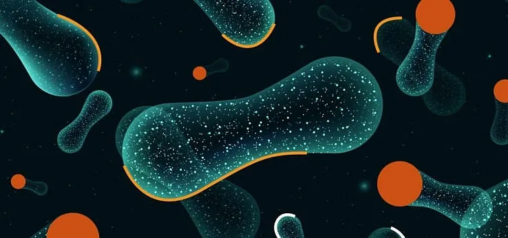 Opening Reception: BacteriArt, from invisible to visible