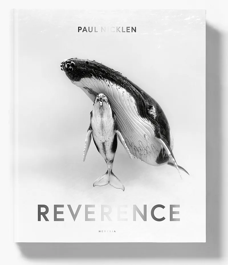 Book signing: Paul Nicklen, 'Reverence' (Iconic Images Gallery, CONTEXT Art Miami)